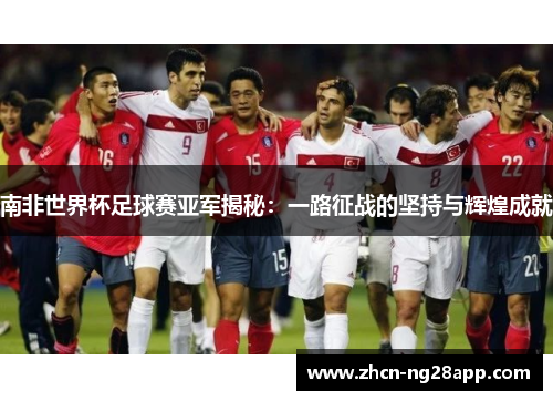 南非世界杯足球赛亚军揭秘：一路征战的坚持与辉煌成就