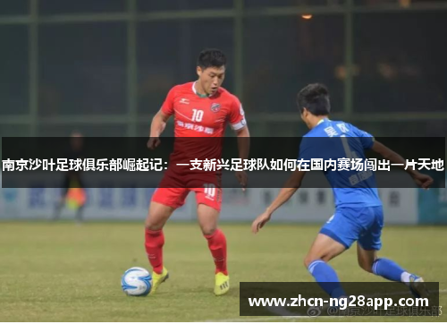 南京沙叶足球俱乐部崛起记：一支新兴足球队如何在国内赛场闯出一片天地