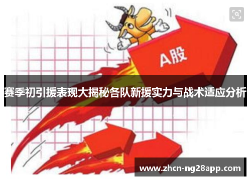 赛季初引援表现大揭秘各队新援实力与战术适应分析