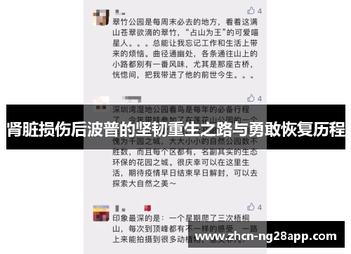 肾脏损伤后波普的坚韧重生之路与勇敢恢复历程