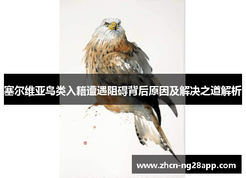 塞尔维亚鸟类入籍遭遇阻碍背后原因及解决之道解析