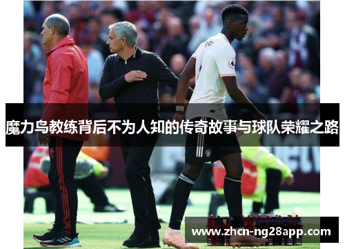 魔力鸟教练背后不为人知的传奇故事与球队荣耀之路